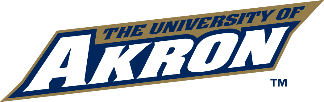 Akron Zips 2002-Pres Wordmark Logo v3 diy DTF decal sticker